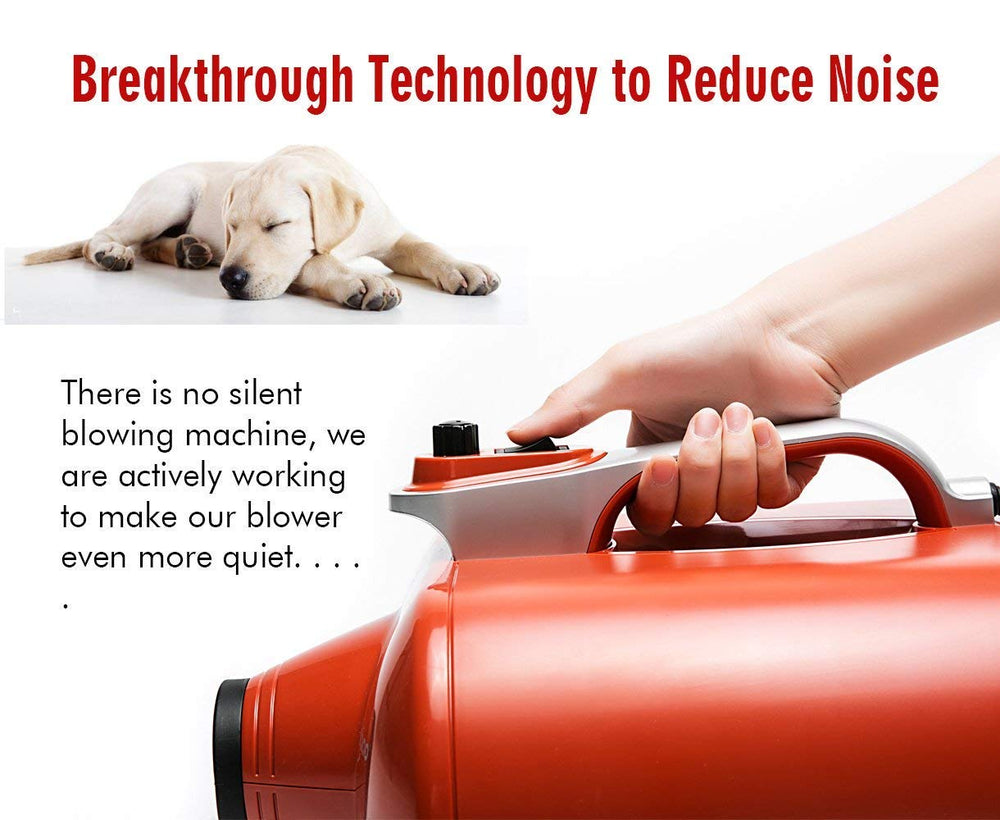 Shernbao DHD-2400F pro nozzle set for precise blow-drying