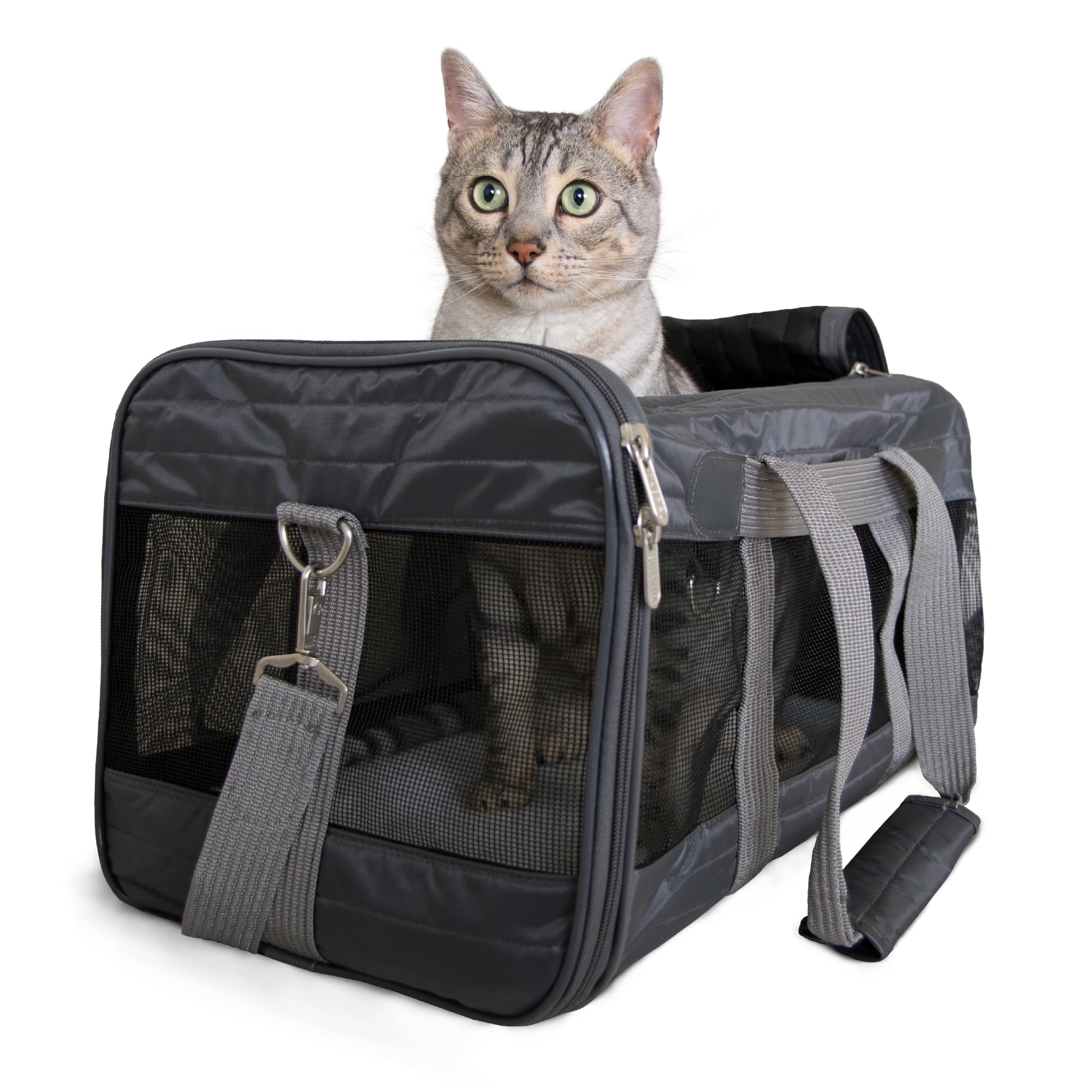 Sherpa pet carrier under-seat fit for easy airplane travel.