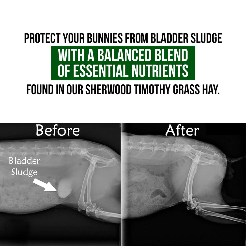 Sherwood Pet Health hay-based formula supports digestive health with prebiotic fiber.