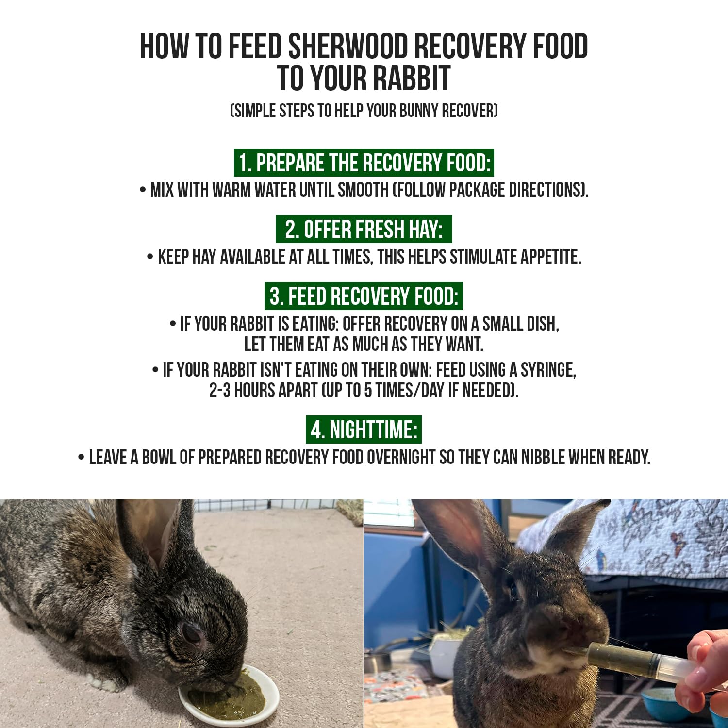 Sherwood Pet Health feeding syringe shown for precise dosing