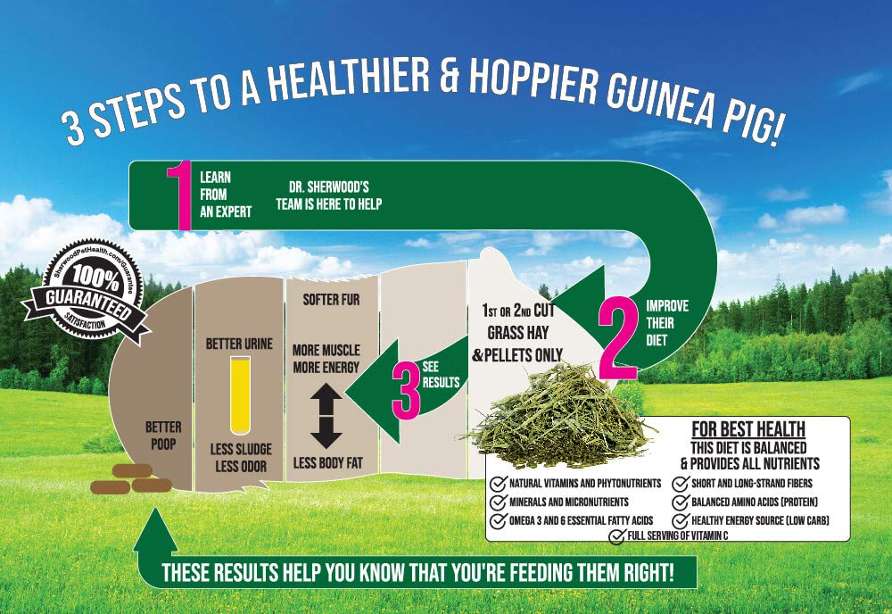Sherwood Pet Health hay-based formula label close-up, emphasizing grain-free, soy-free composition.