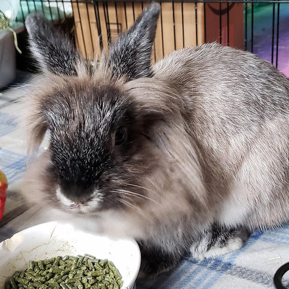 Sherwood Pet Health ingredient panel with vitamins and minerals for rabbits