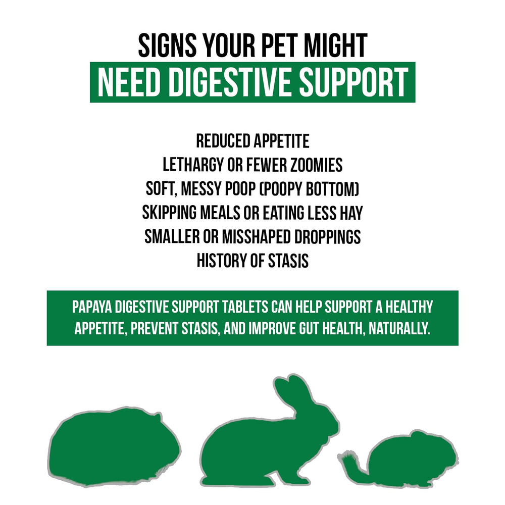 Sherwood Pet Health papaya-flavored tablet close-up highlighting flavor appeal.