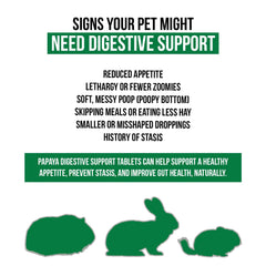 Sherwood Pet Health papaya-flavored tablet close-up highlighting flavor appeal.