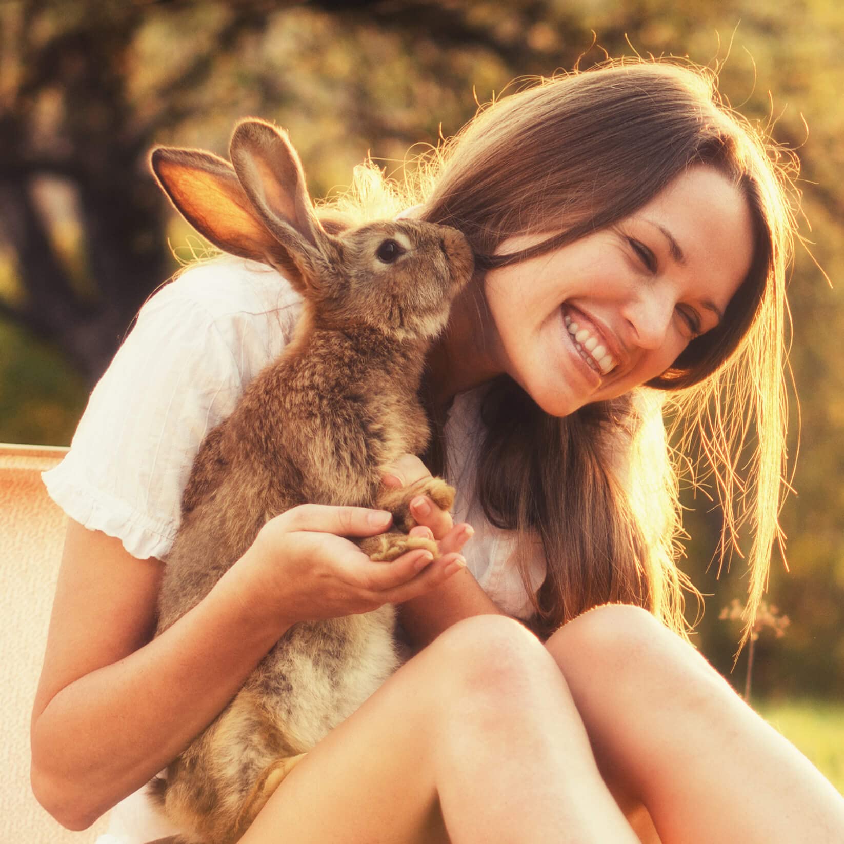 Sherwood Pet Health rabbit food kitchen scene with bag and bowls.