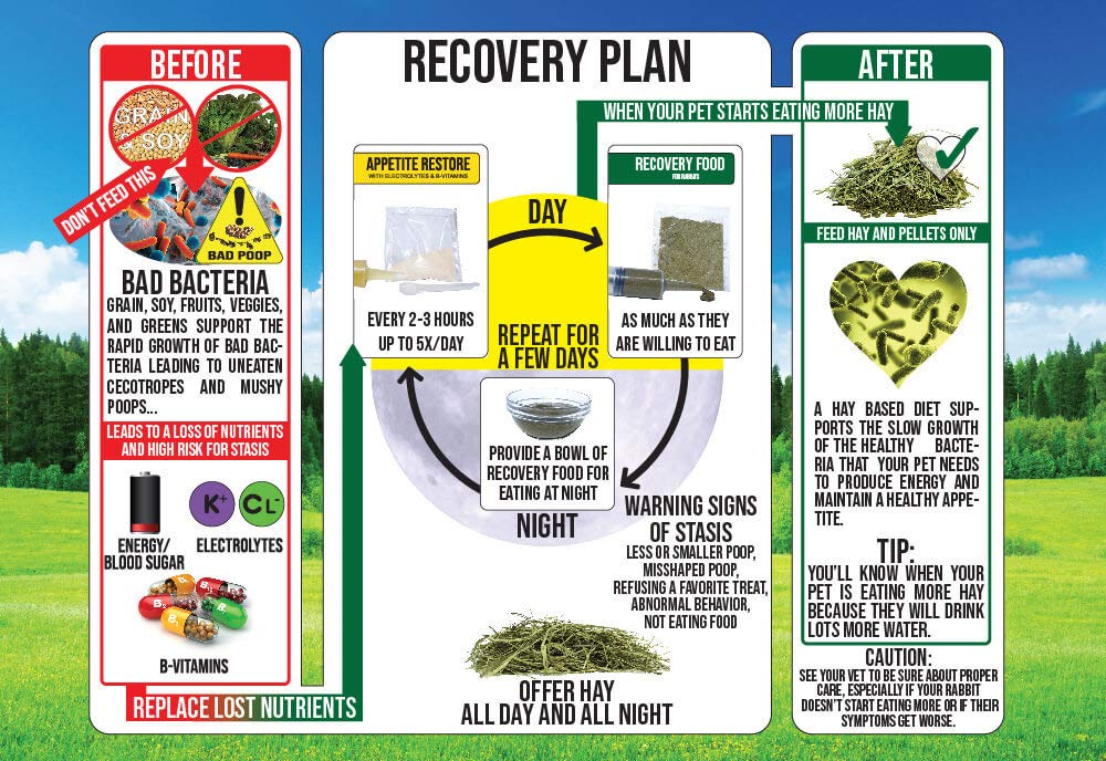 Sherwood Pet Health recovery food closeup highlighting texture and nutrition