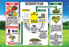 Sherwood Pet Health recovery food closeup highlighting texture and nutrition