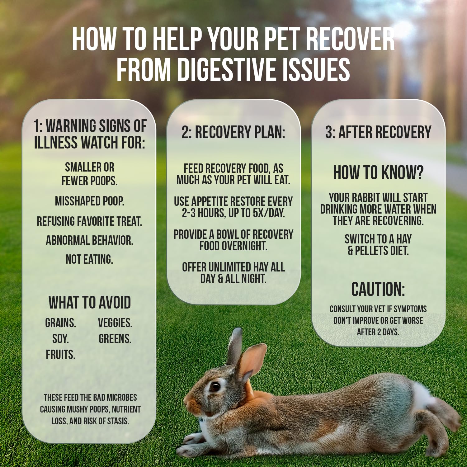 Sherwood Pet Health Timothy hay–based Recovery Food packets for digestion support