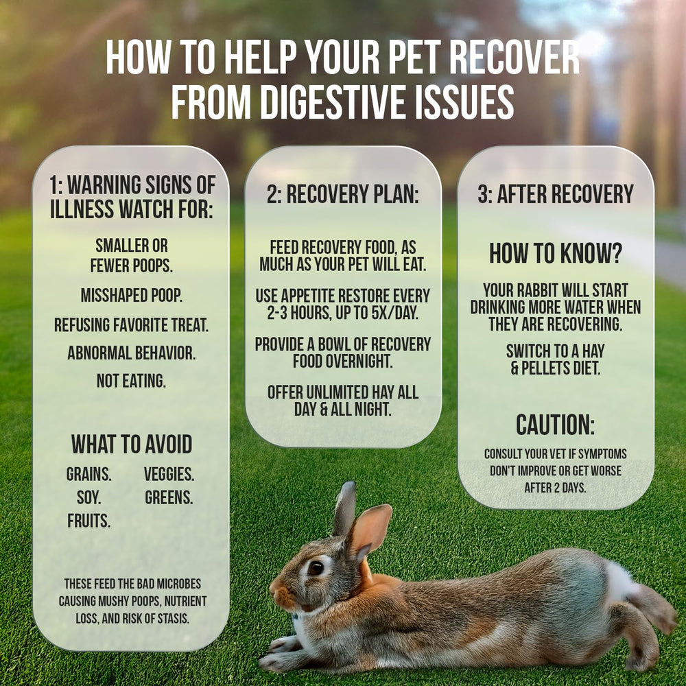 Sherwood Pet Health Timothy hay–based Recovery Food packets for digestion support