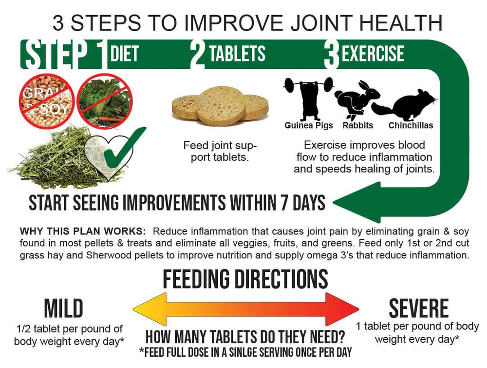 Sherwood Pet Health vegan joint support supports active pets mobility and comfort