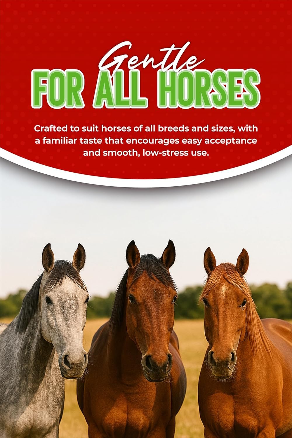 SHEVAT VITAMINS Ivermectin paste designed for periodic use in stable management.