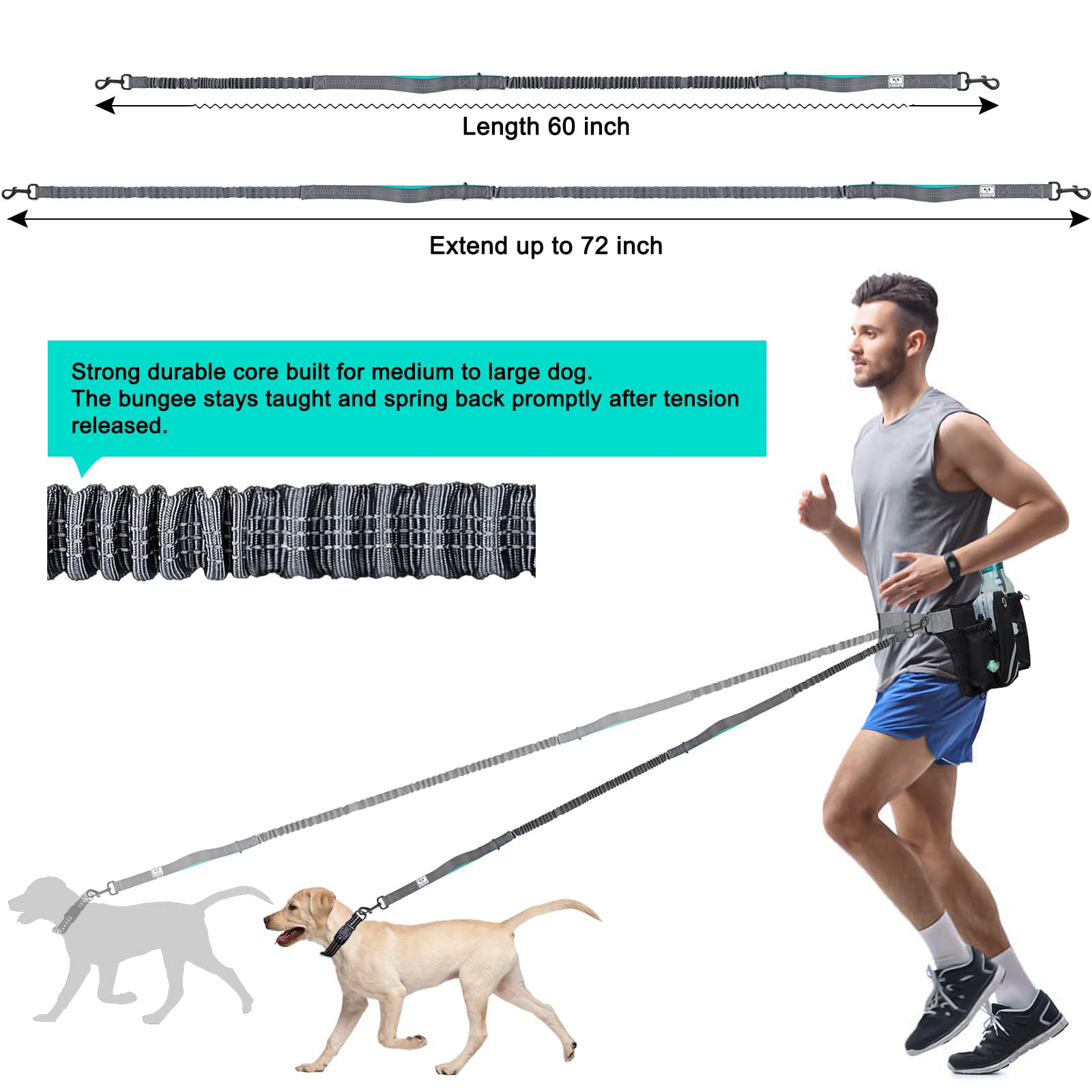 SHINE HAI 72-inch running room allowing spacious movement for dogs