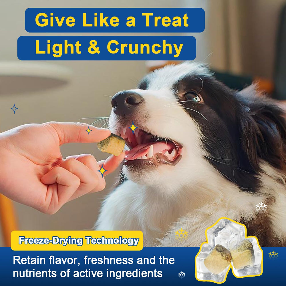 SHINEPAWS dog allergy chews chicken flavor bites for easy administration