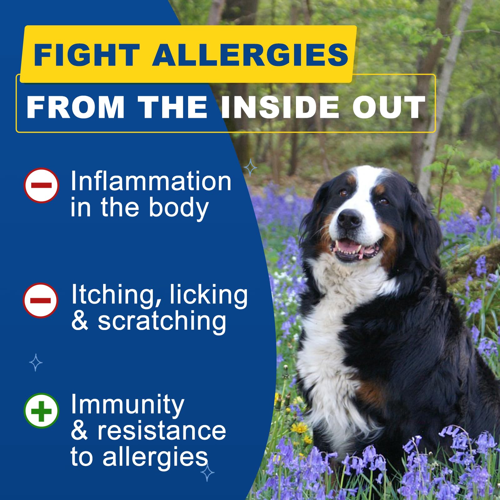SHINEPAWS dog allergy chews packaging front with jar design