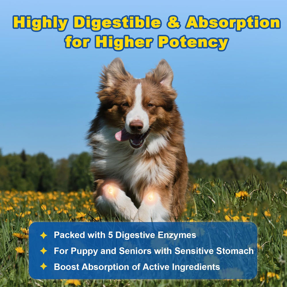 SHINEPAWS hip-joint-support-dog-treat easy daily administration for mobility.