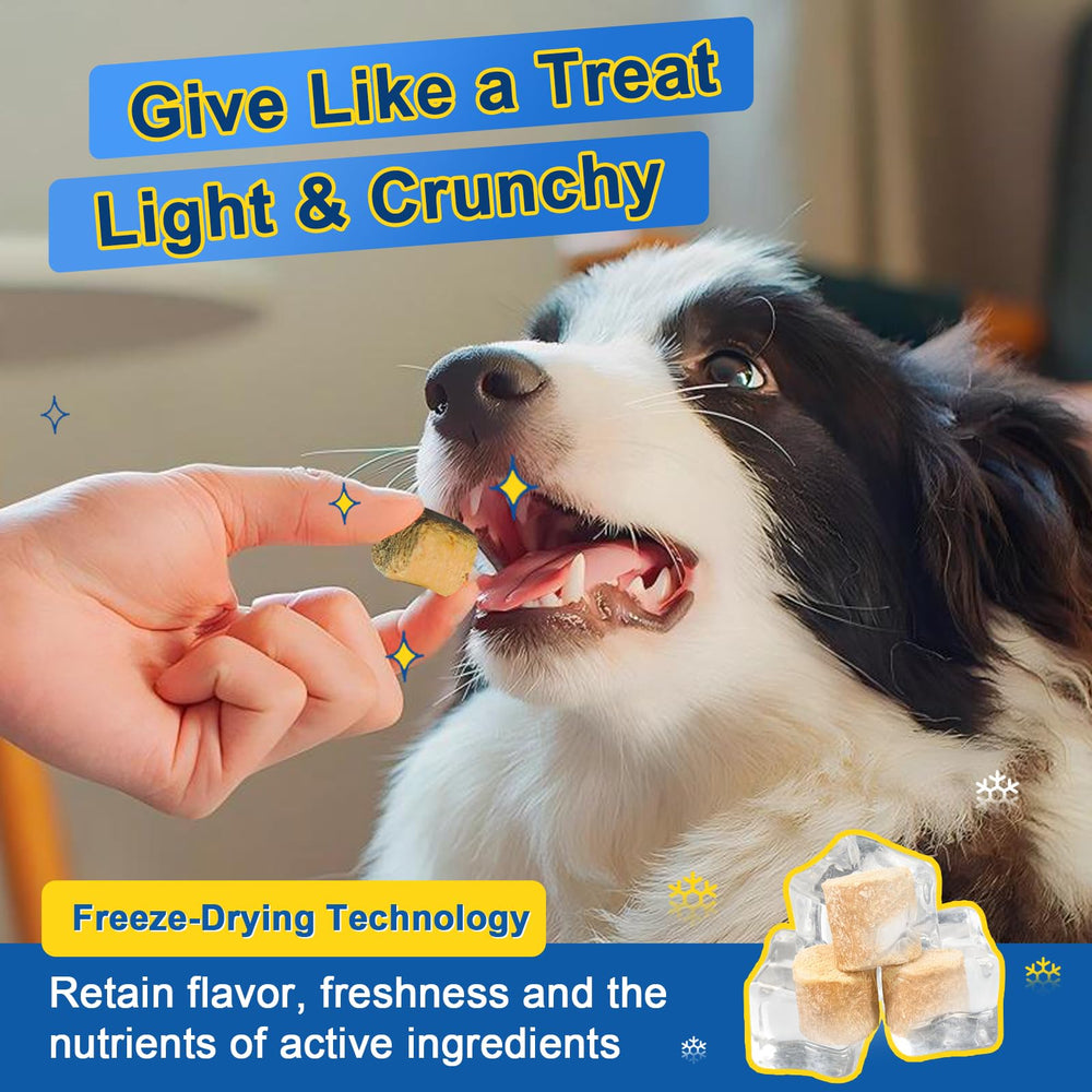SHINEPAWS omega3-dogs-soft-chews emphasize omega-3 benefits for joints and skin health.