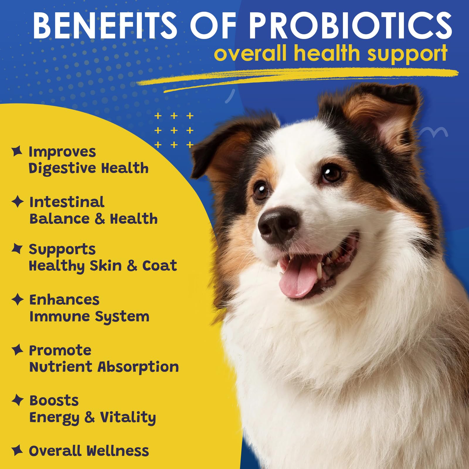 SHINEPAWS probiotic bites added to dog meal for digestion support