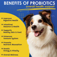 SHINEPAWS probiotic bites added to dog meal for digestion support