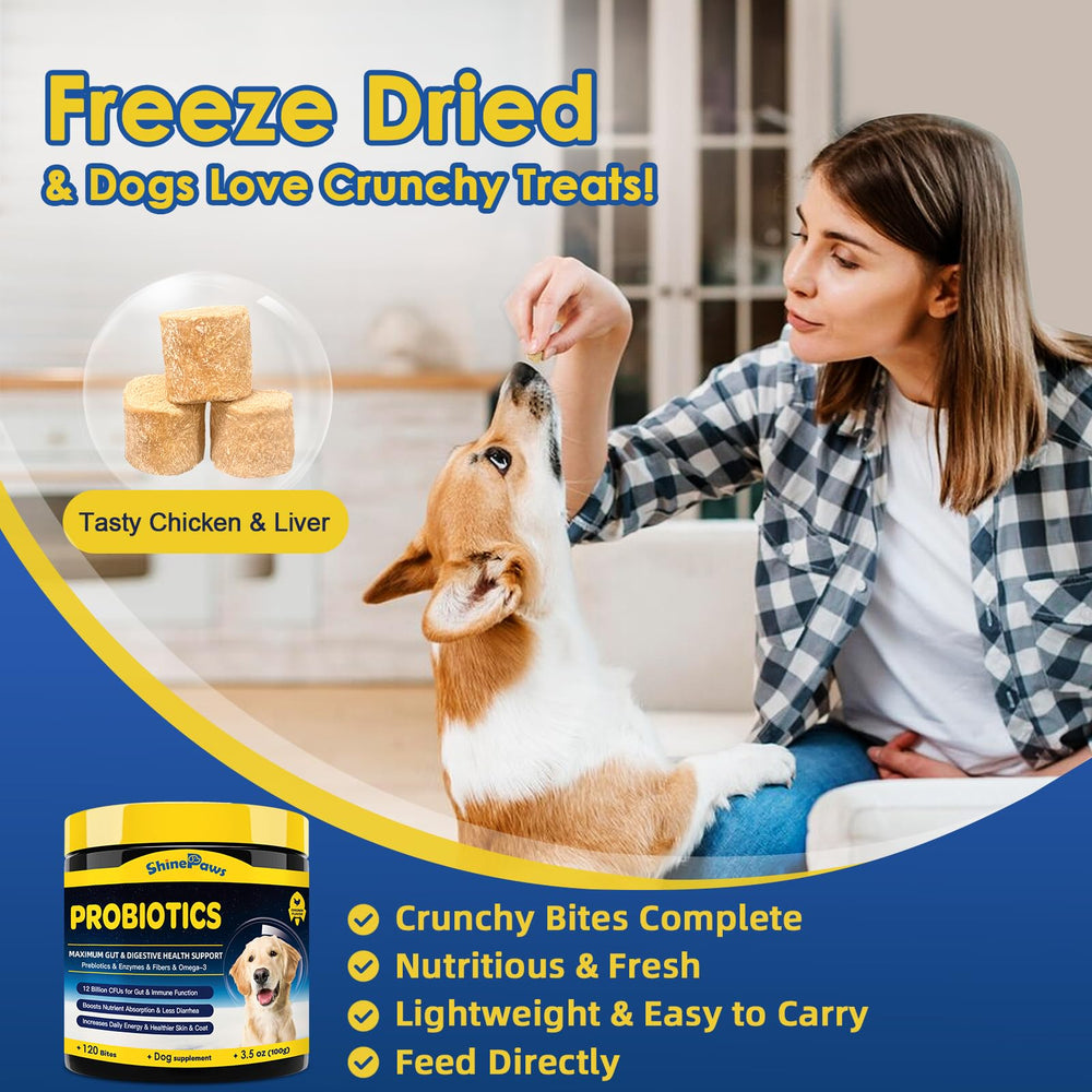 SHINEPAWS dog with shiny coat supported by probiotic supplement
