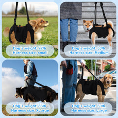Shinylin dog legs support with breathable mesh comfort on hikes.