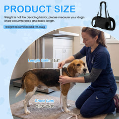 Shinylin emergency pet carrier helps you navigate uneven terrain securely.