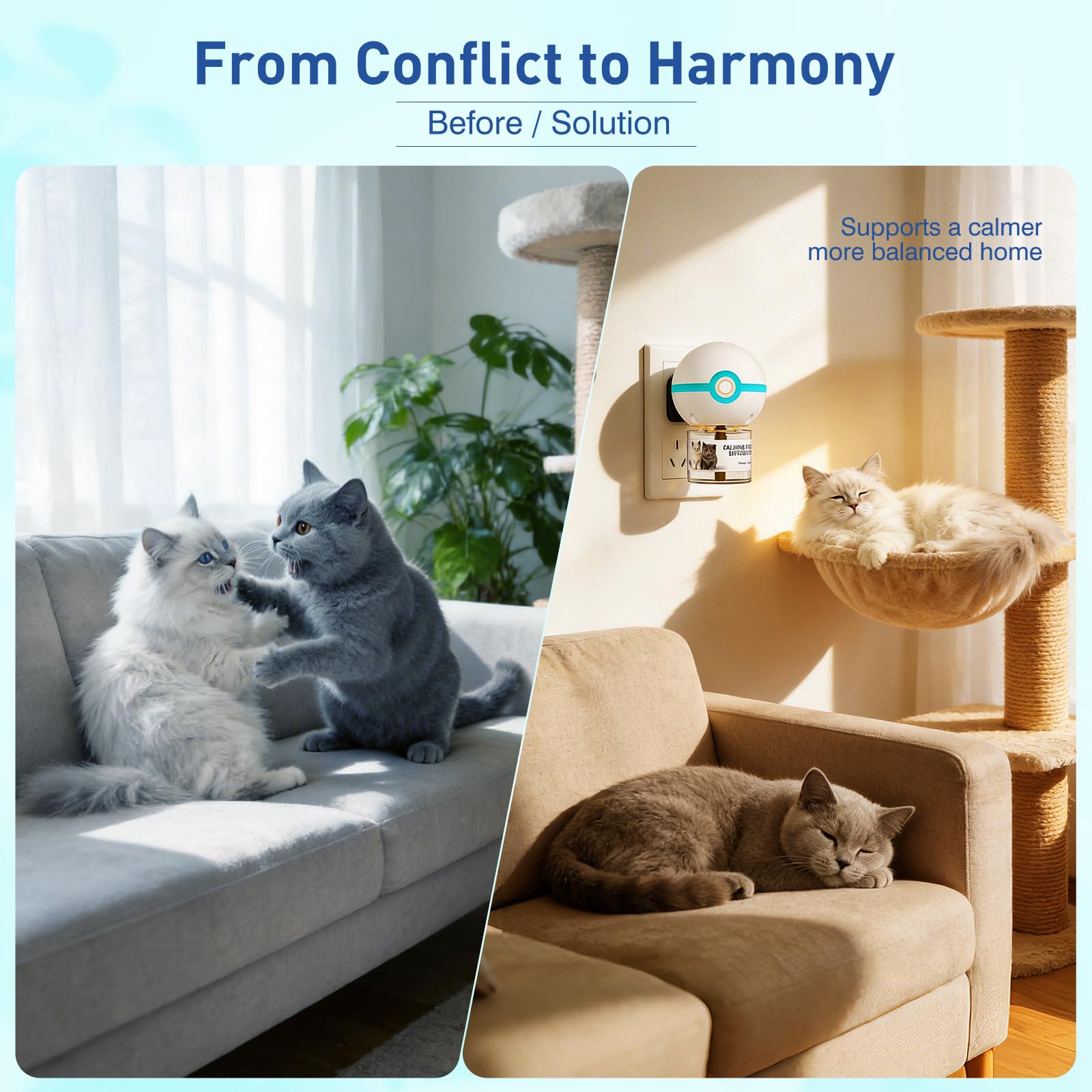 SHIORI 2026 upgraded 3-in-1 formula highlights versatile calming support for cats.