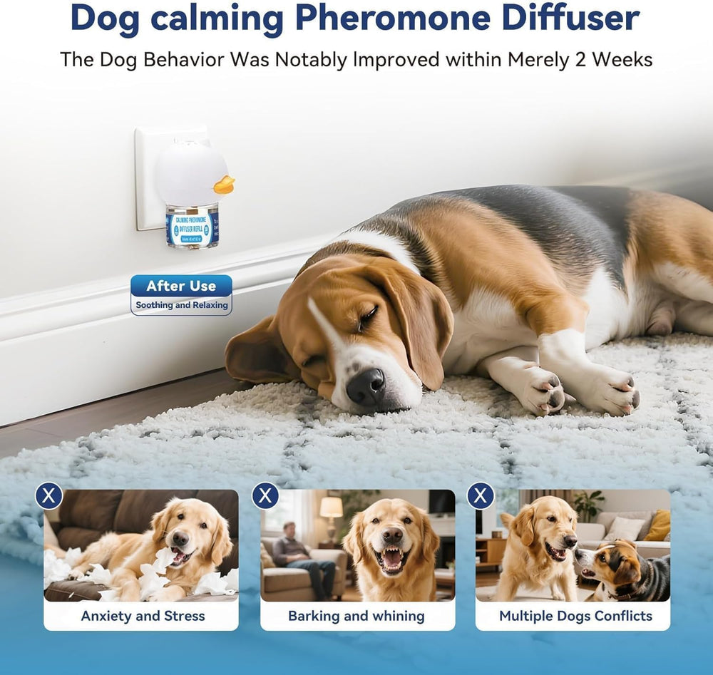 SHIUMORE diffuser covers up to 700 sq ft
