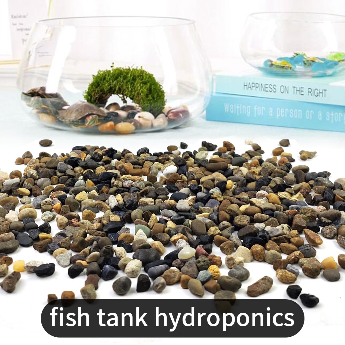 SHIZWU colorful pebbles elevate vase fillings and plant displays.