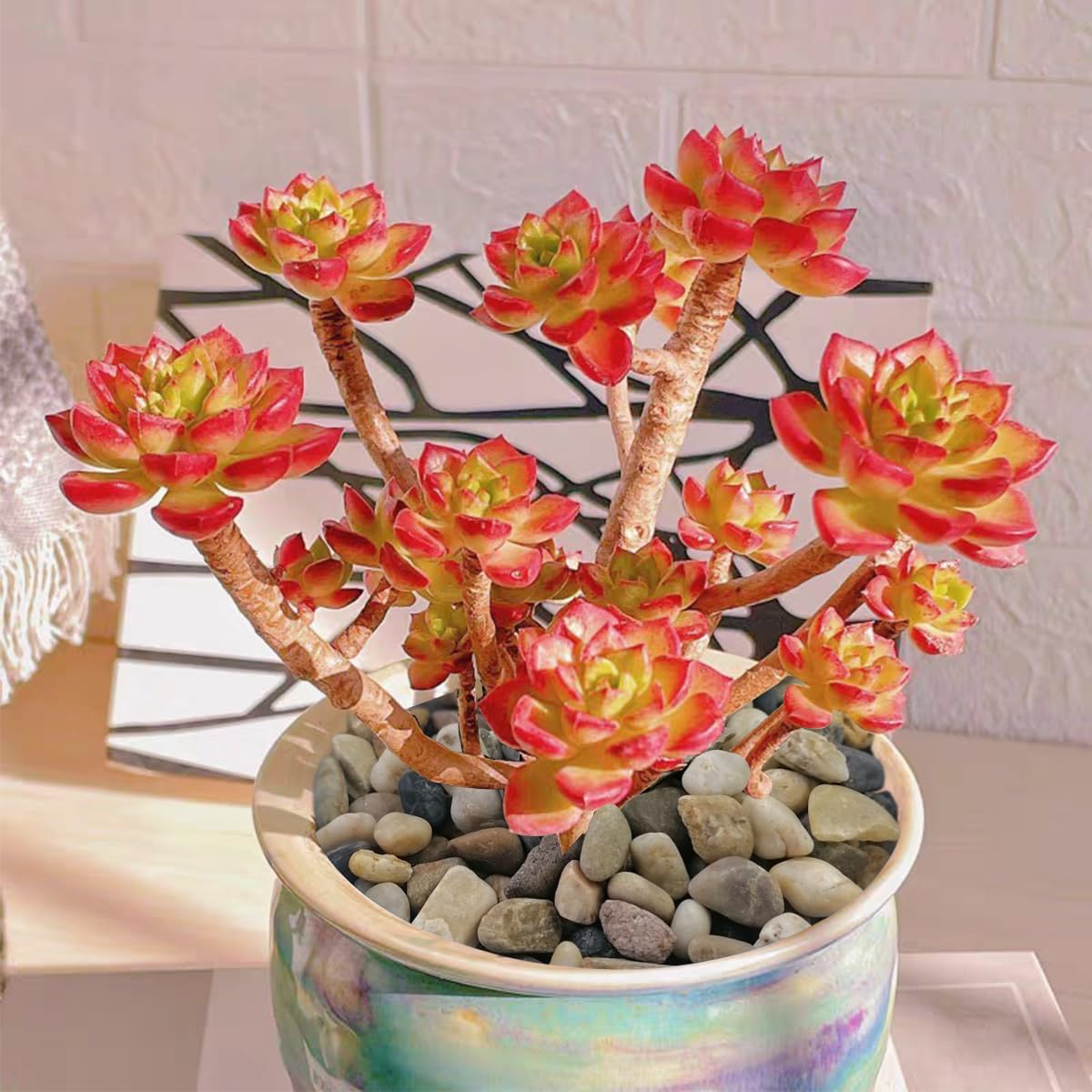 SHIZWU flower arrangement stones help create elegant, natural displays.