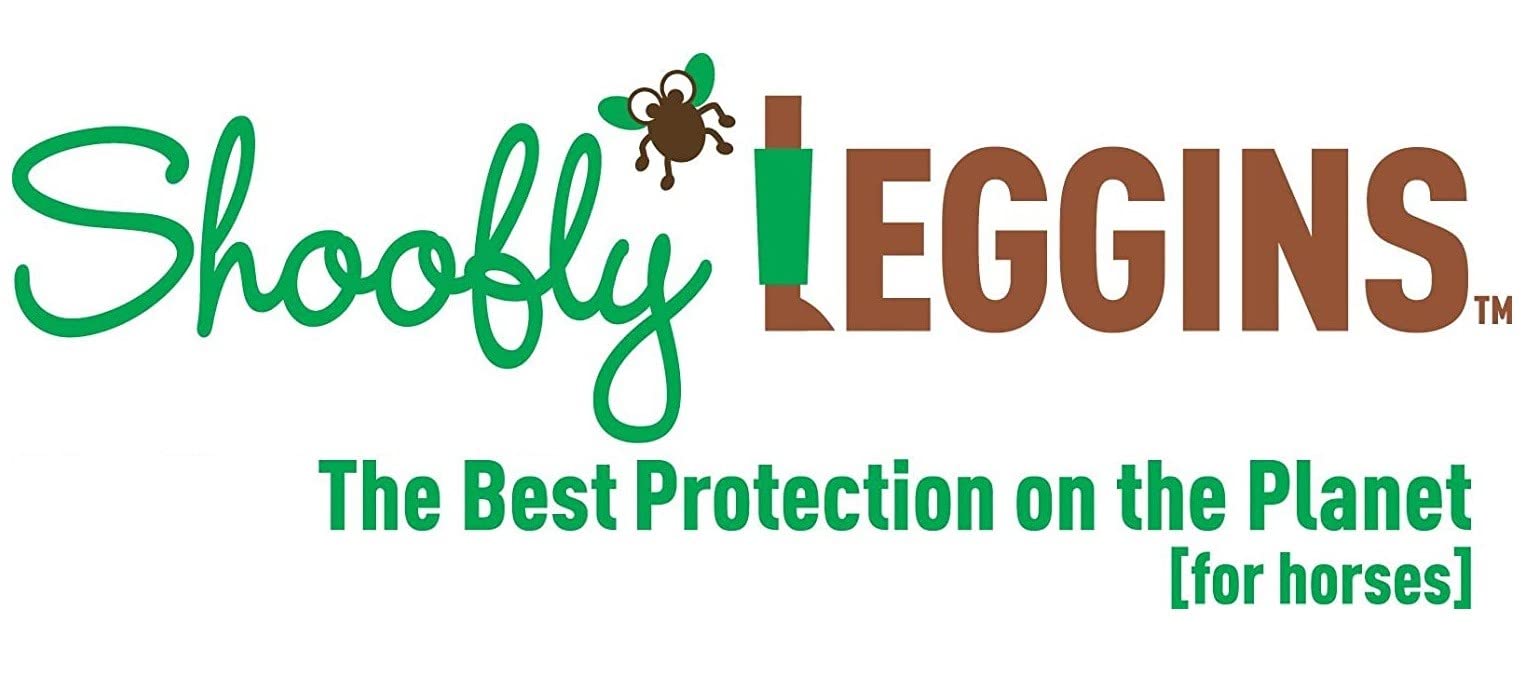 SHOOFLY Leggins four-pack per order offers value and quick replacement.