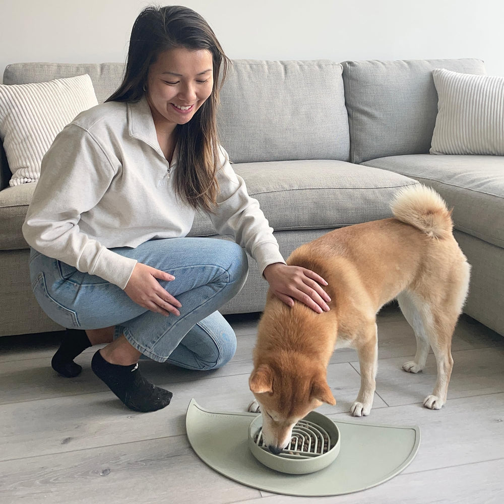 Should We Go enrichment feeder doubles as a playful enrichment surface.