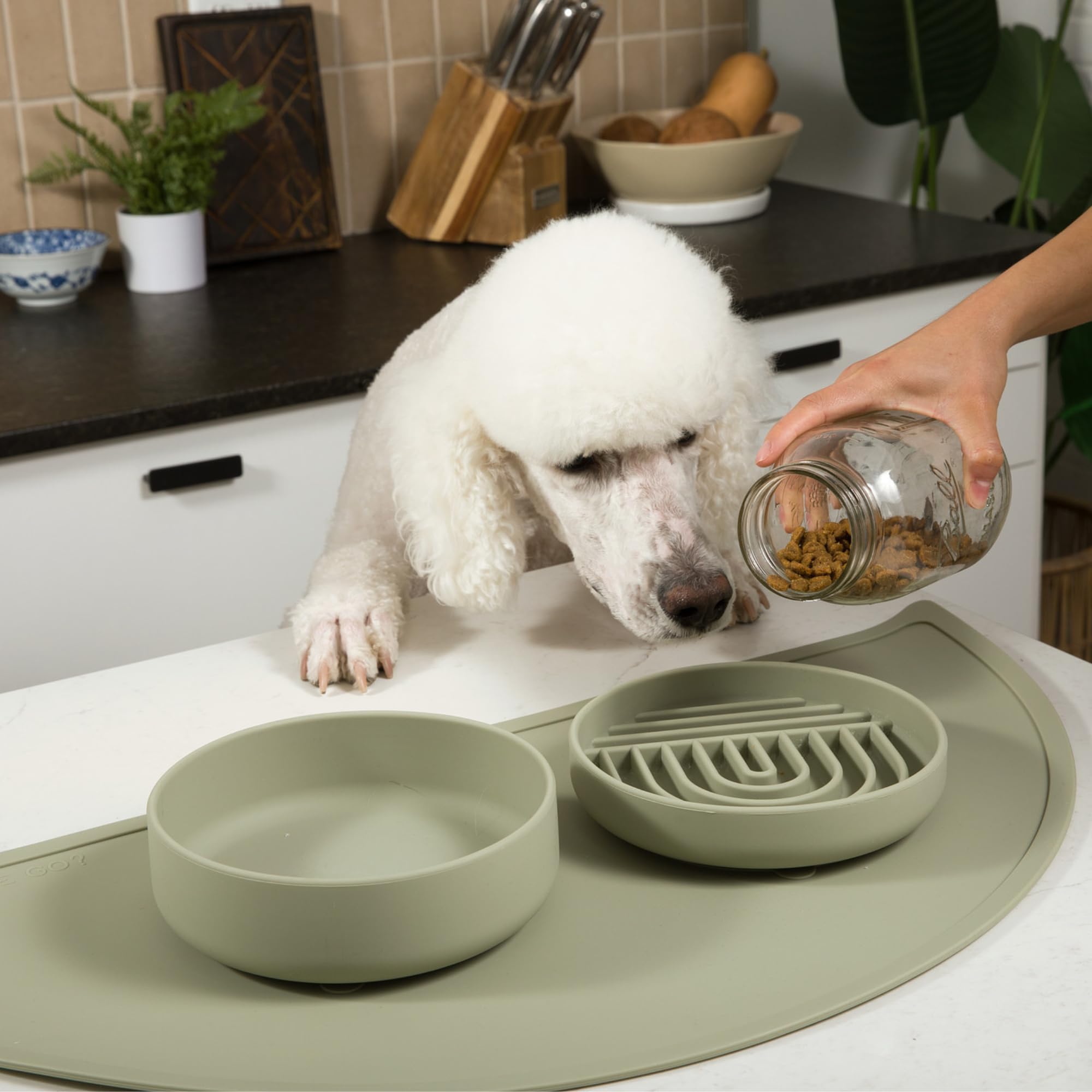 Should We Go medium-sage bowl supports varied kibble textures.