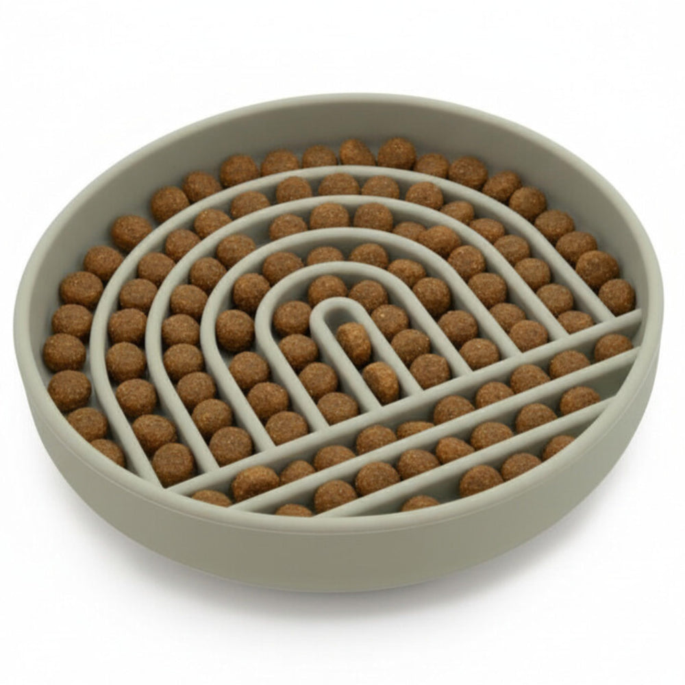 Should We Go slowdown bowl ridges for controlled dining during mealtimes.