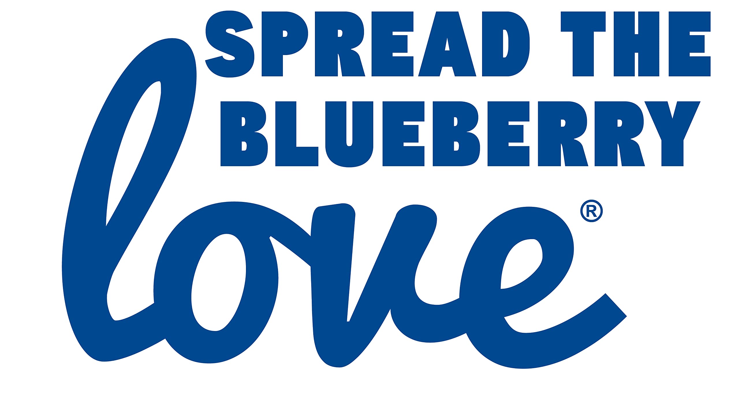 Showseason Blueberry-Coconut Pet Face Foam Cleanser USA-made biodegradable formula.