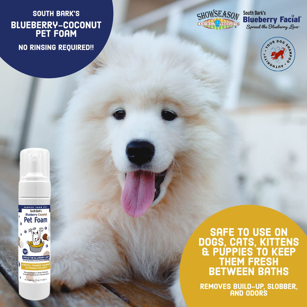Showseason Blueberry-Coconut Pet Face Foam Cleanser no-rinse feature in action.