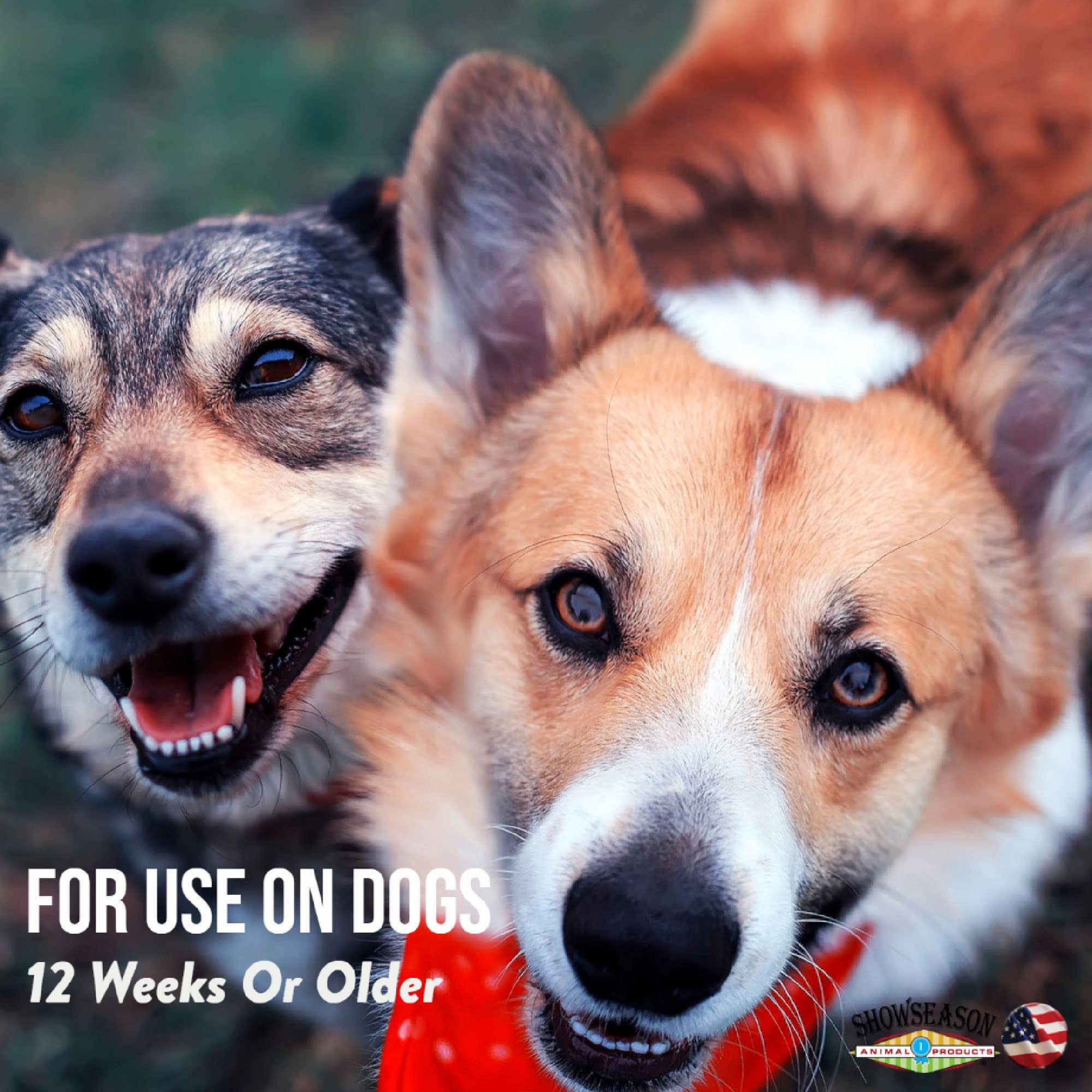 Showseason Cotton Candy Dog Cologne demonstrates odor-control benefits for daily use.