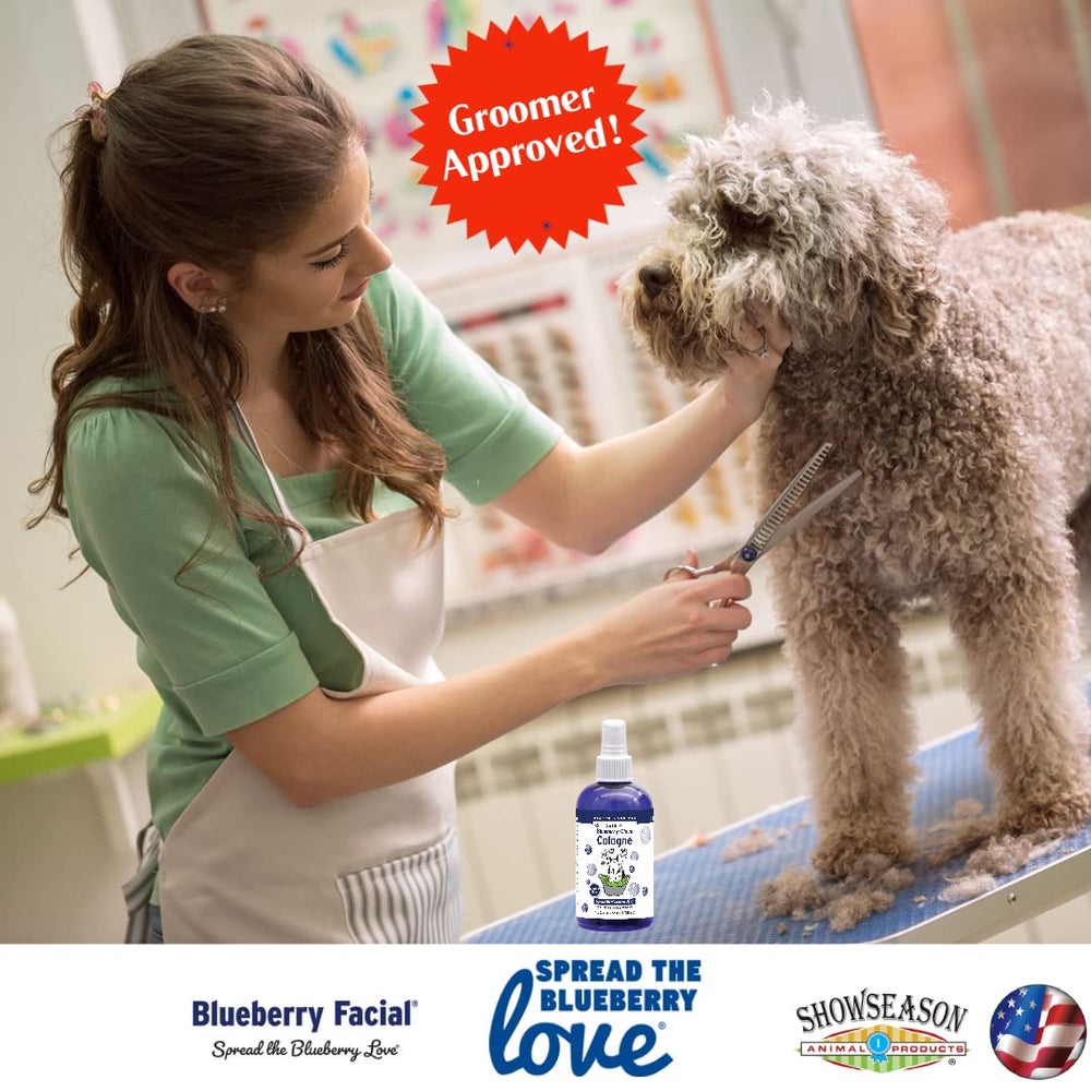 Showseason Blueberry Clove application on fur demonstrates gentle aroma boost.