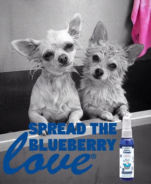 Showseason South Bark's Blueberry Dog Cologne spray application captures easy, mess-free misting.