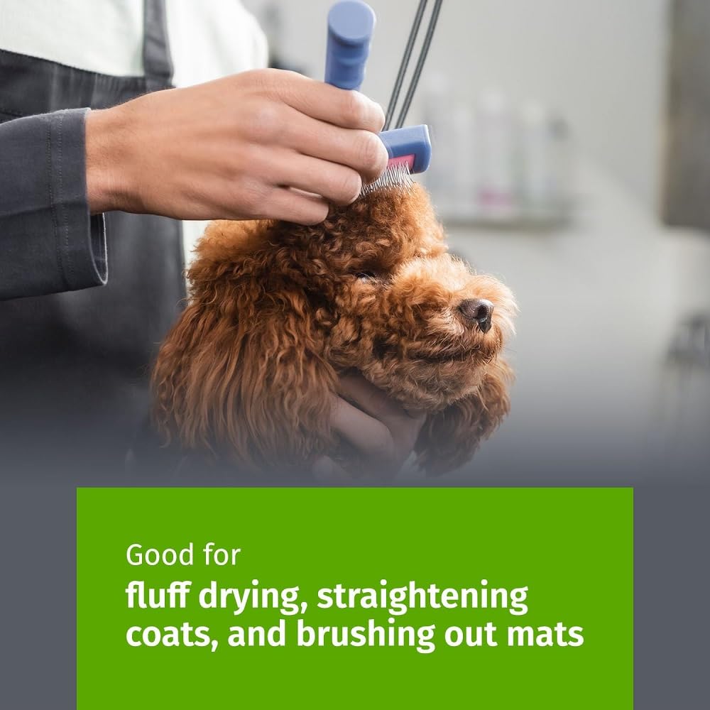 Show Tech slicker brush detangling a doodle coat