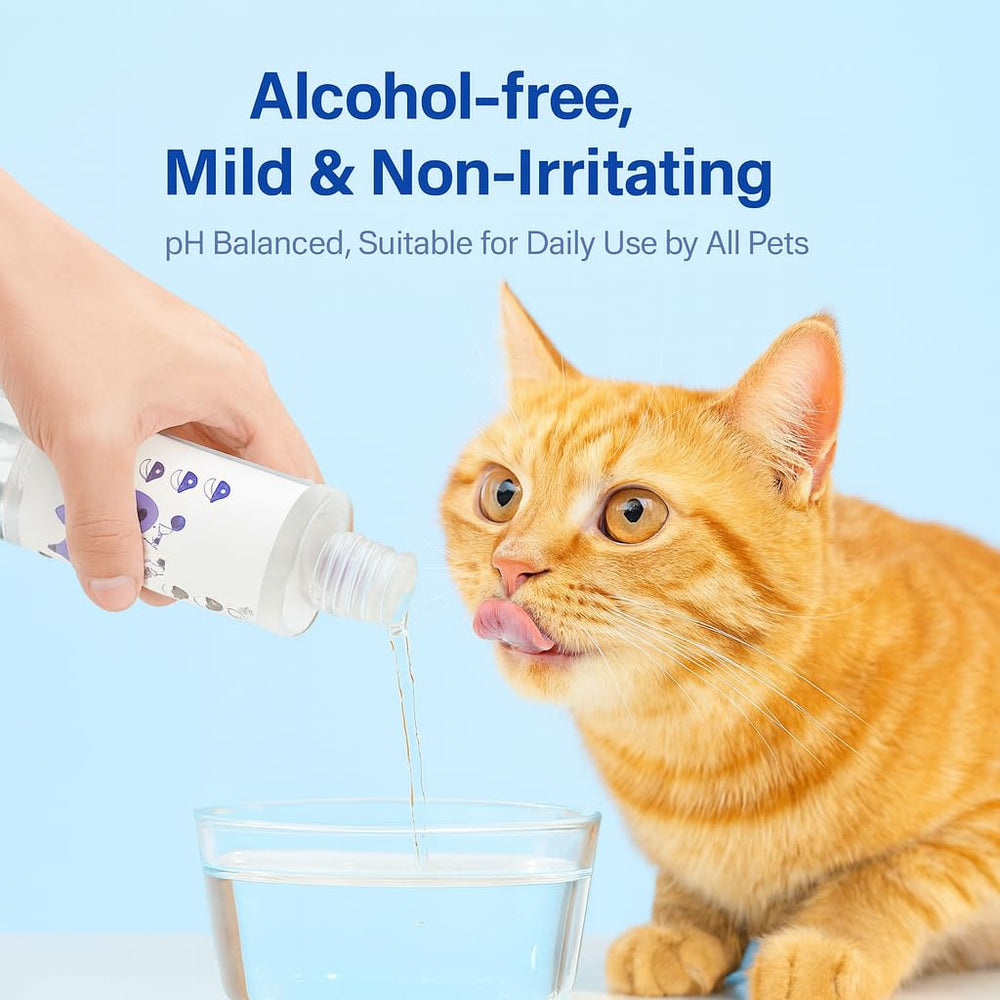 Shrandi PawBright Dental+ Plus easy daily use without mess.