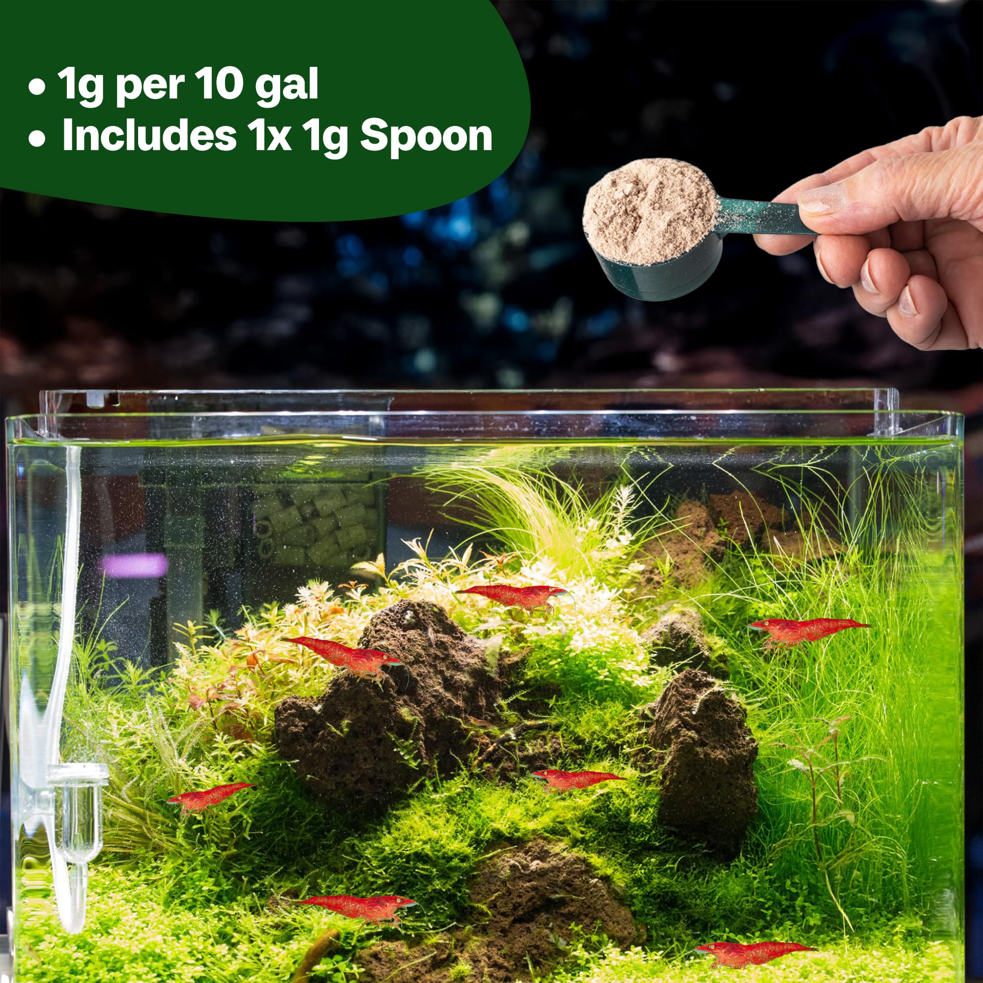 SHUNNIUB Balance breeding tank scene suggesting healthier shrimp habitat