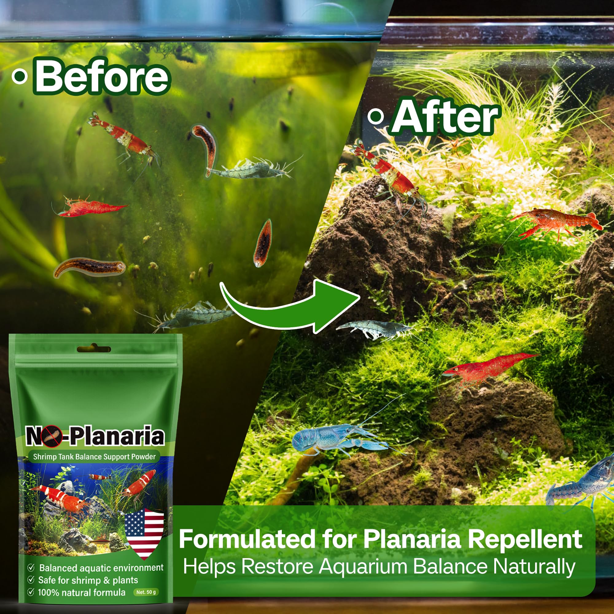 SHUNNIUB Balance tank setup highlight in a healthy planted aquarium