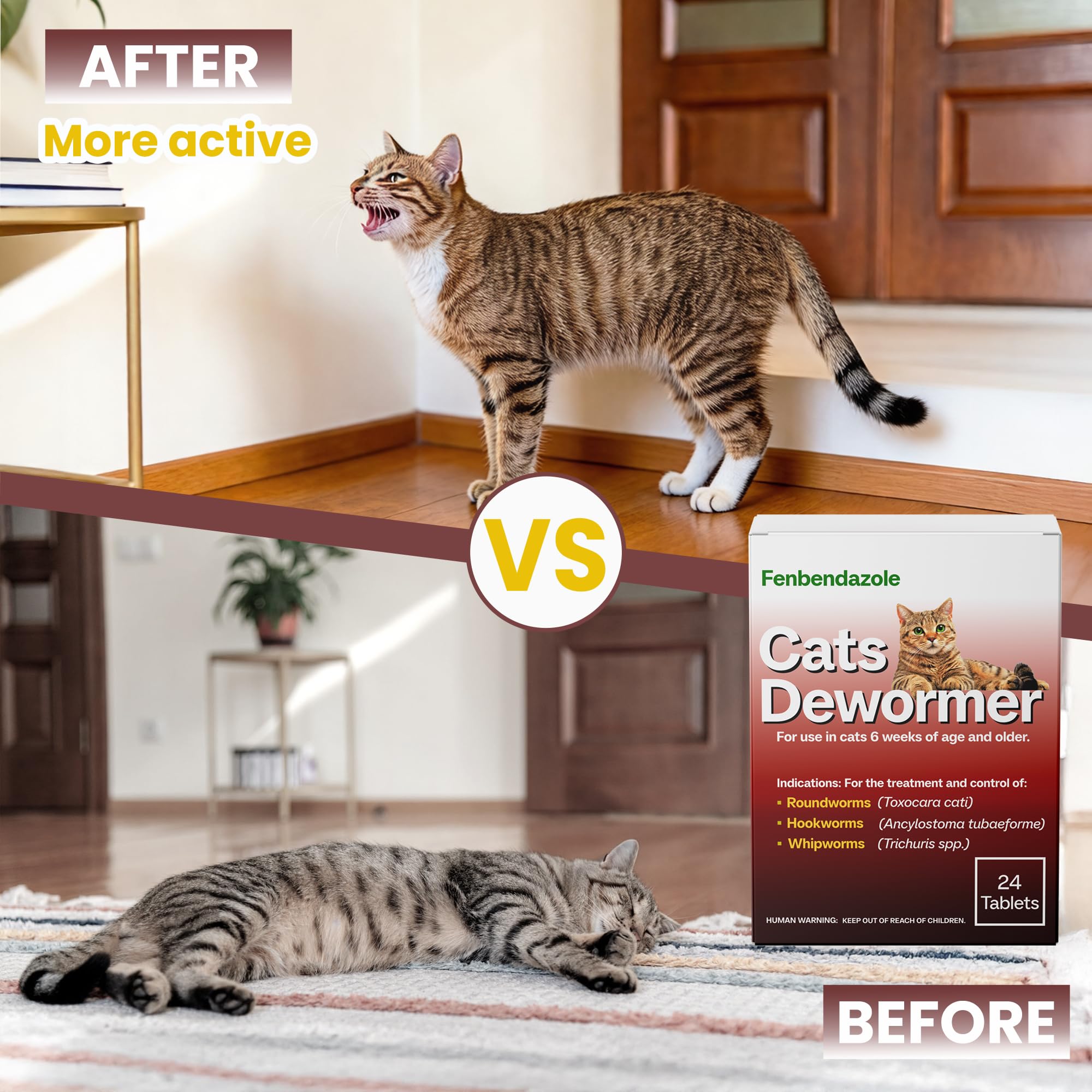 Cat taking a tablet with food illustrates flexible dosing options.