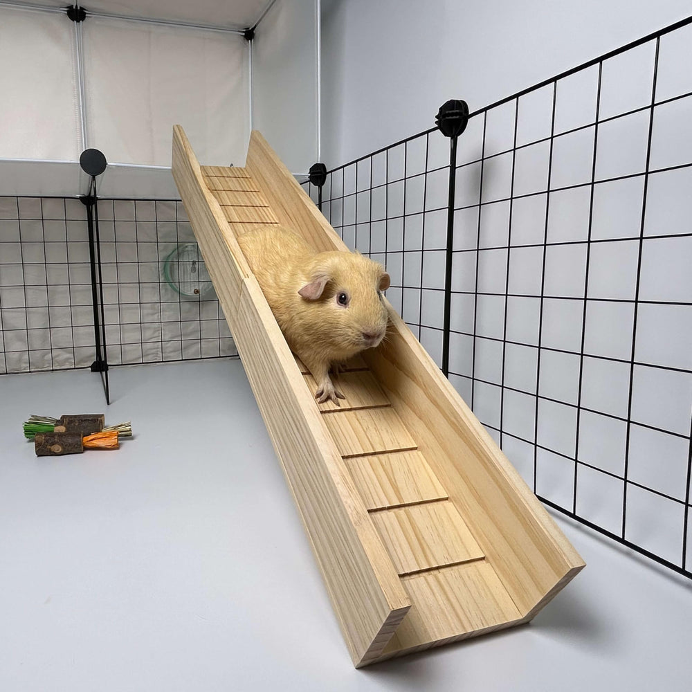 Shuoxpy second-floor link bridge setup connected to habitat enables varied play.