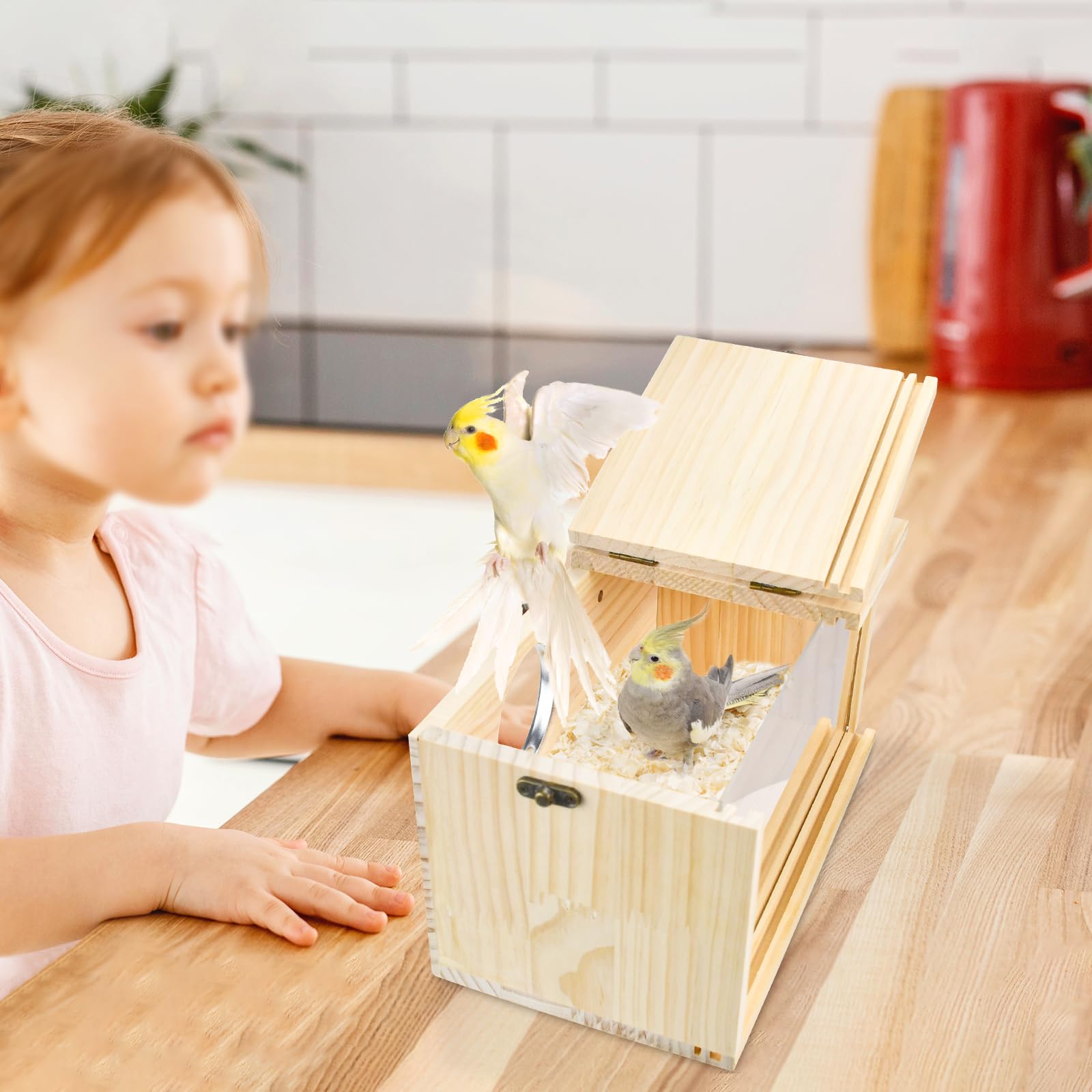 ShuRung parrot nesting box lid-open with bedding access for quick cleaning.