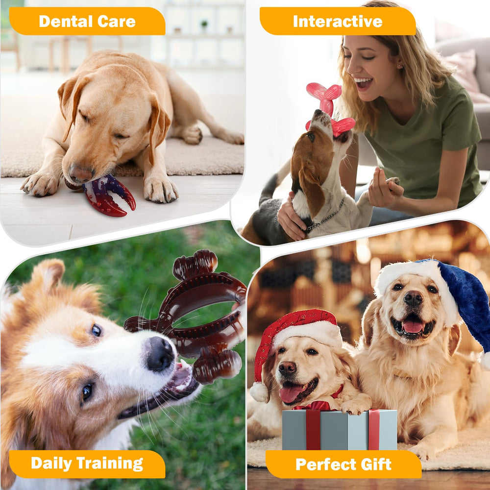 SHWLNY easy-to-clean chew toy suitable for play and training
