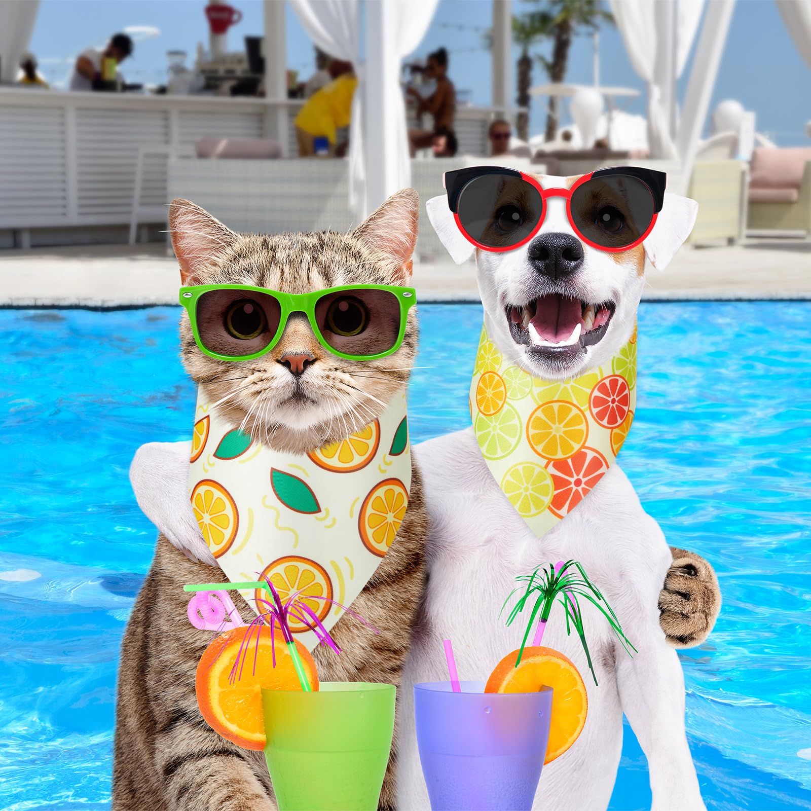 Shyyween fruit dog bandanas ideal for beach and summer photo shoots