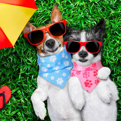 Shyyween breathable polyester material keeps bandanas lightweight and comfortable.