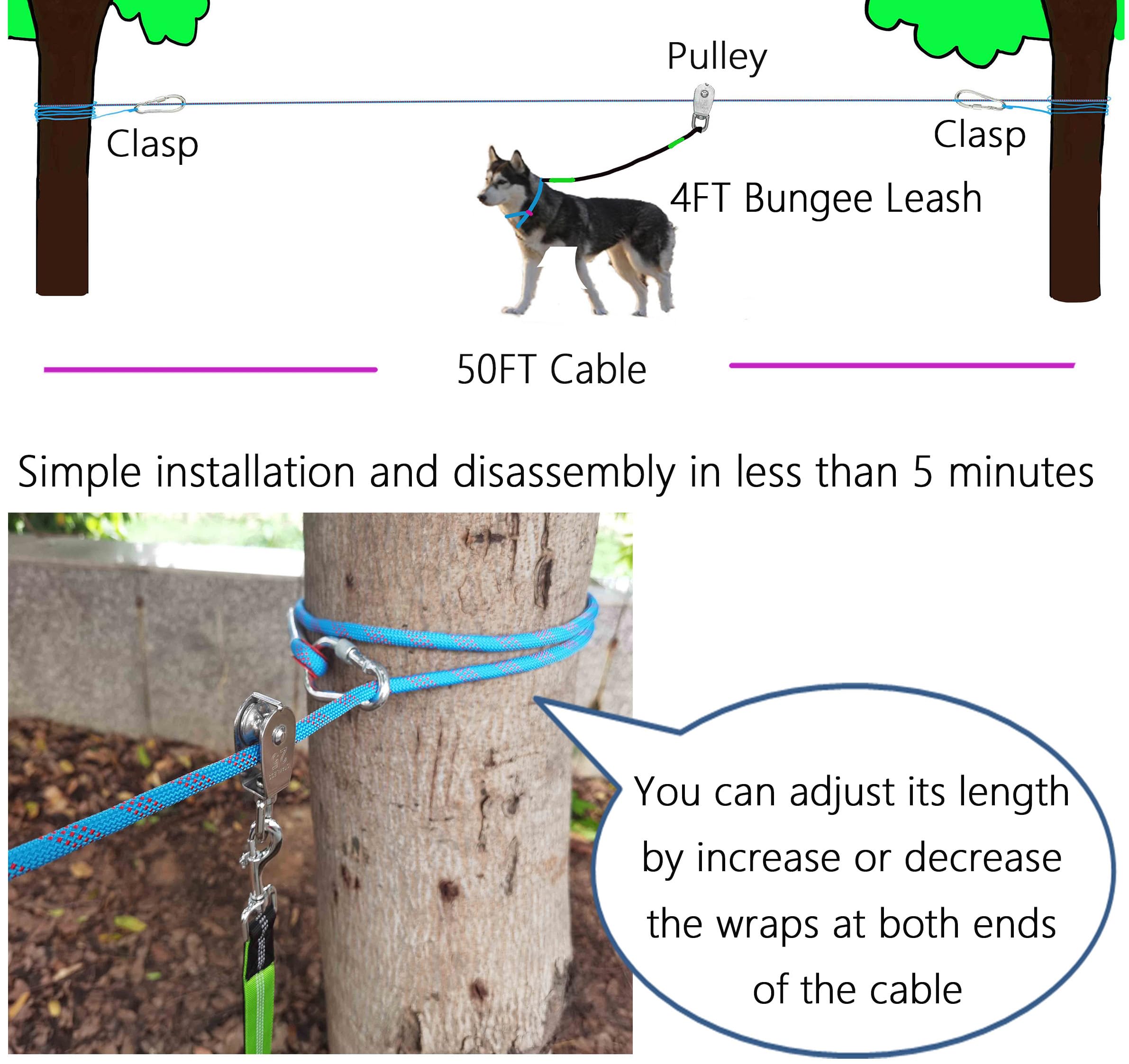 SIAELT dog trolley system setup between trees for camping use.