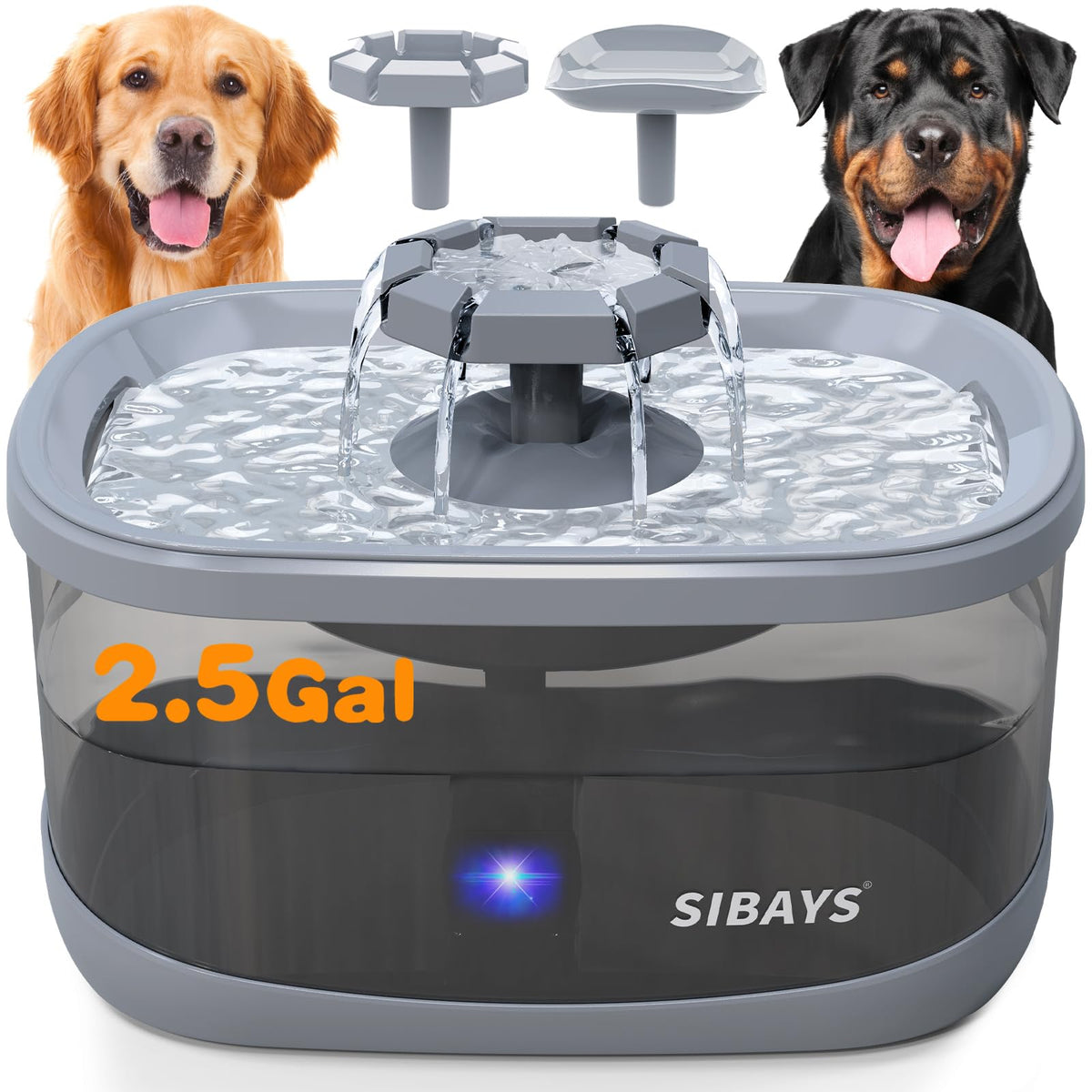 SIBAYS 2.5Gal fountain top view for easy large-dog hydration.